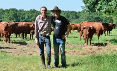 Retour a l'essentiel