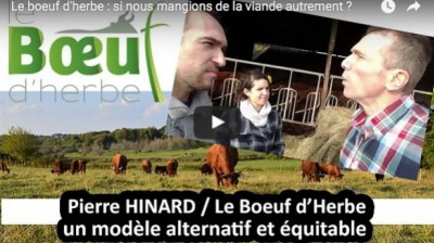 Et si nous mangions de la viande autrement ?