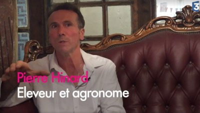 Pourquoi la viande d'élevage naturel est meilleure pour la santé ?