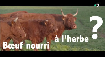 Où trouver de la viande de boeuf nourri à l'herbe ?