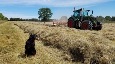 Températures exceptionnelles et conditions extrêmes