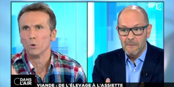  C Dans l’Air – Crise de La Viande : de l’élevage à l’assiette