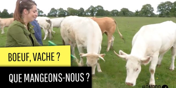  On n’est plus des pigeons, France 4 « Viande, que mangeons nous vraiment? »
