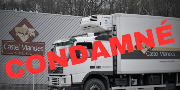  Castel Viandes condamné: la reconnaissance du rôle du lanceur d’alerte par le procureur de la République